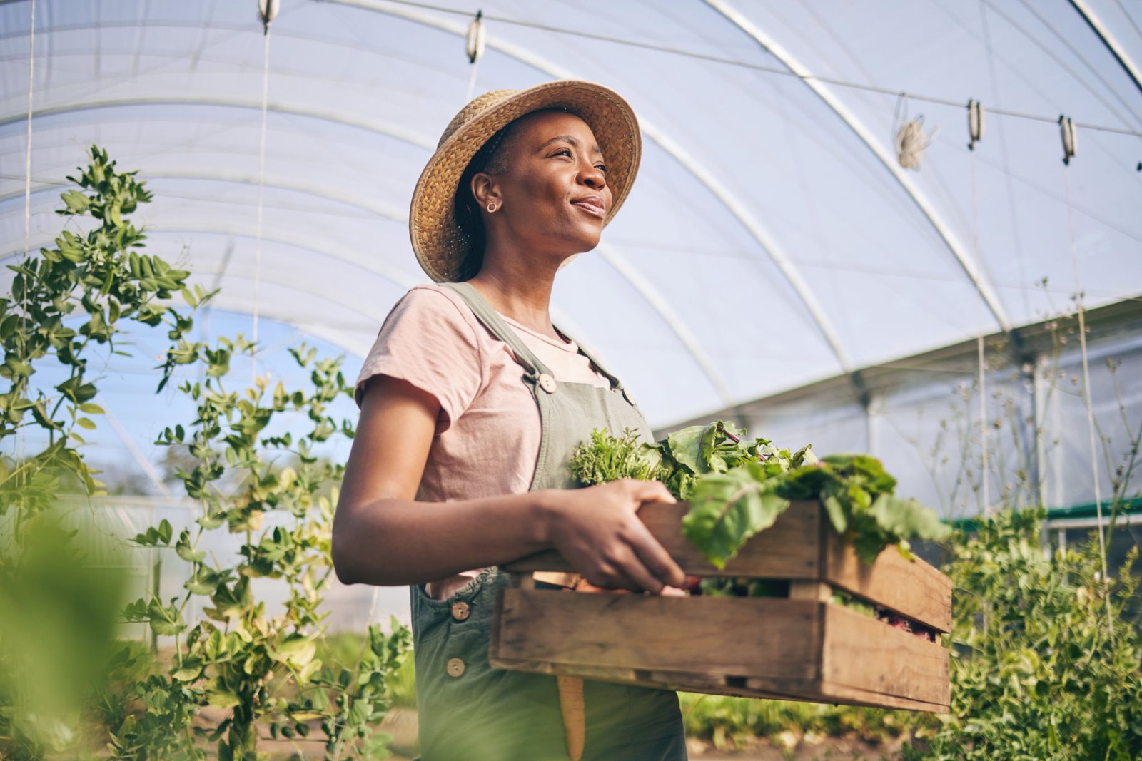 Agroentrepreneurship