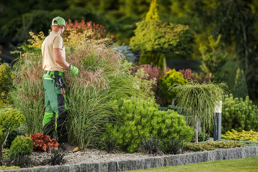Landscape Installation and Maintenance (Softscape)